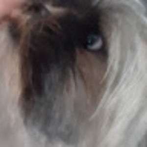 Meet your Posher, Fun